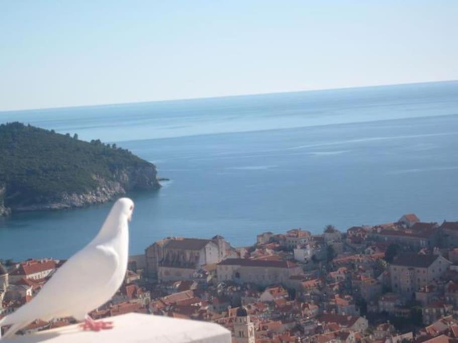 Romantic Ap,With Amazing View Dubrovnik Luaran gambar